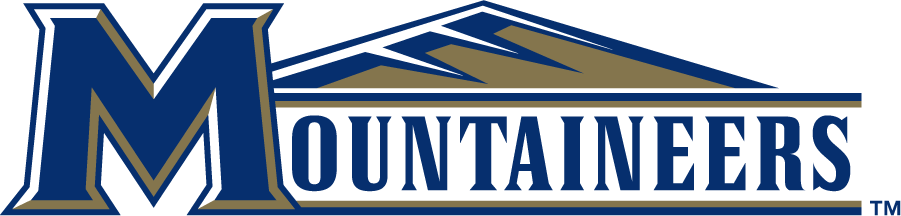 Mount St. Marys Mountaineers 2006-2016 Wordmark Logo v4 diy DTF decal sticker